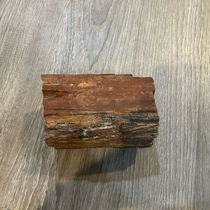 Petrified wood 3 pounds one ounce large piece Rustic Brown Wooden Accent Piece